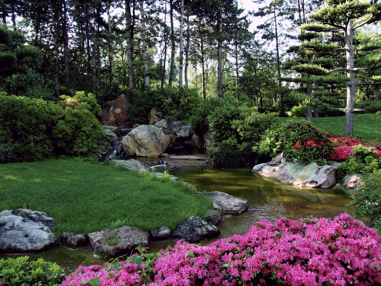 A serene garden with a water feature and greenery